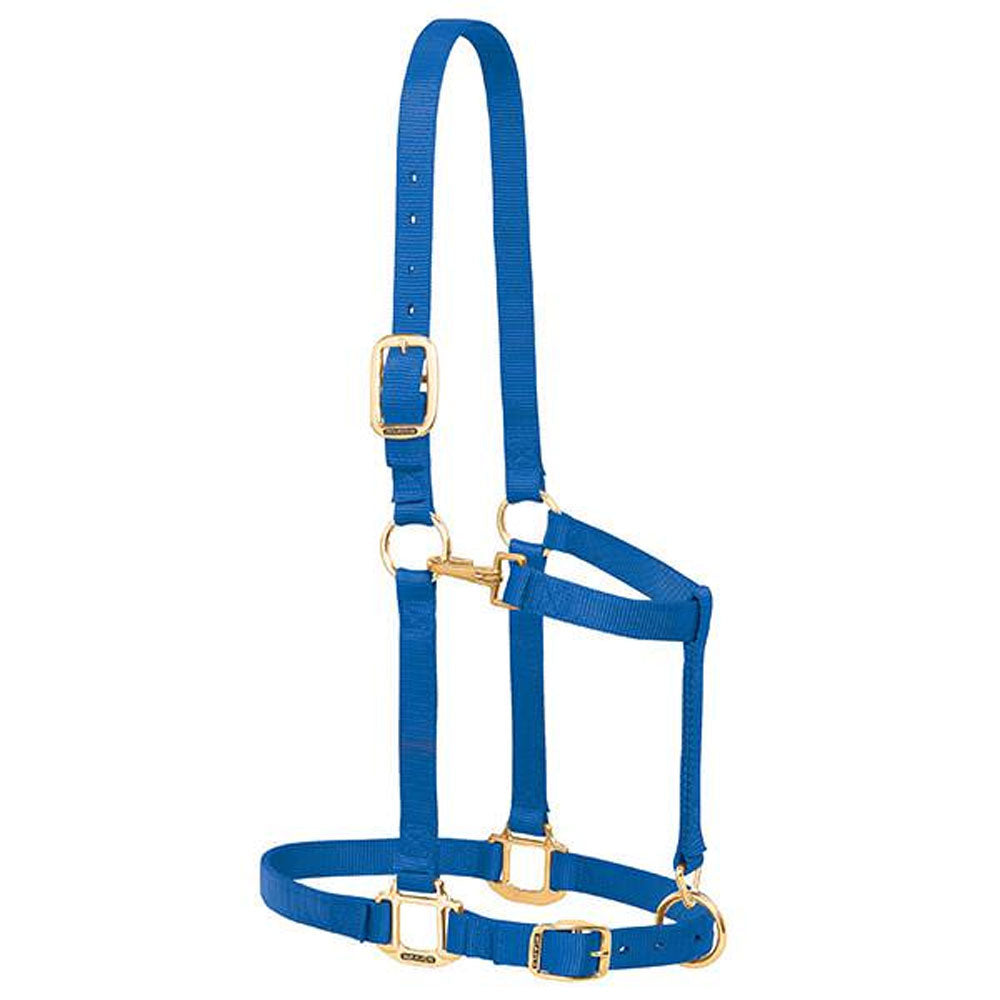 35-7639-BL Weaver Leather Large Draft Horse Adjustable Nylon Halter - Blue