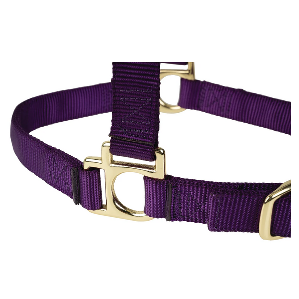 35005-50-05 Weaver Leather High Density Adjustable Chin and Throat Snap Halter - Purple