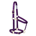 35005-50-05 Weaver Leather High Density Adjustable Chin and Throat Snap Halter - Purple