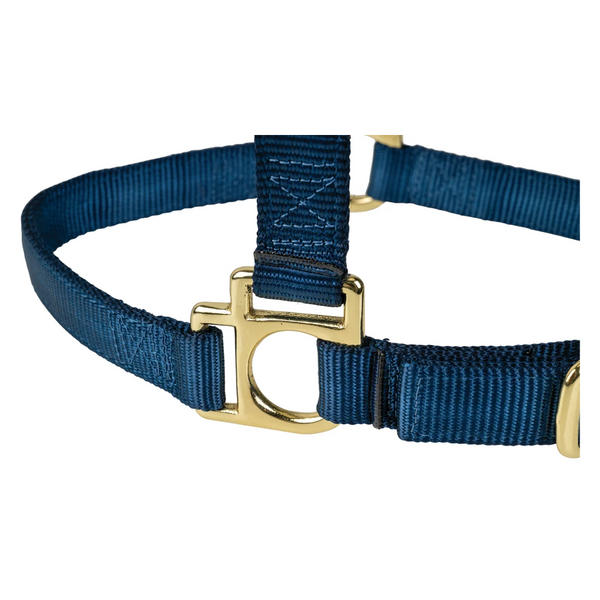 35005-50-07 Weaver Leather High Density Adjustable Chin and Throat Snap Halter - Navy