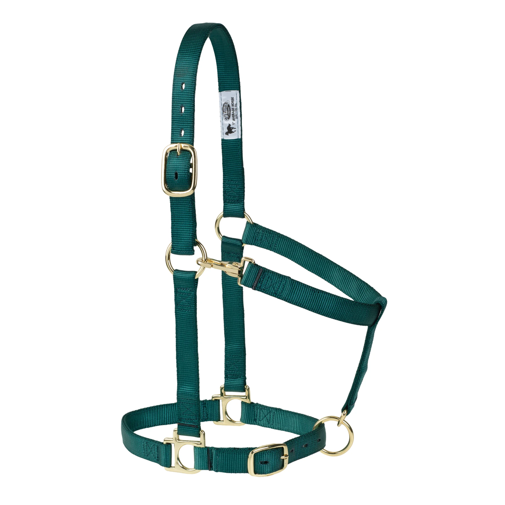 35005-50-25 Weaver Leather High Density Adjustable Chin and Throat Snap Halter -Hunter Green