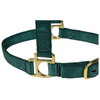 35005-50-25 Weaver Leather High Density Adjustable Chin and Throat Snap Halter -Hunter Green