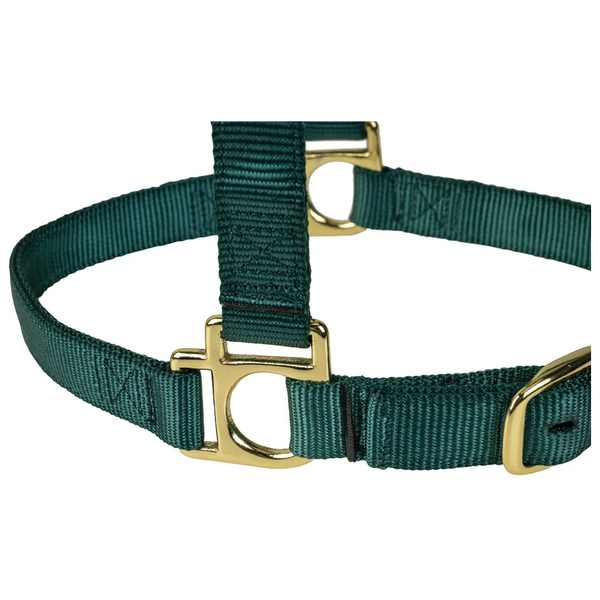 35005-50-25 Weaver Leather High Density Adjustable Chin and Throat Snap Halter -Hunter Green