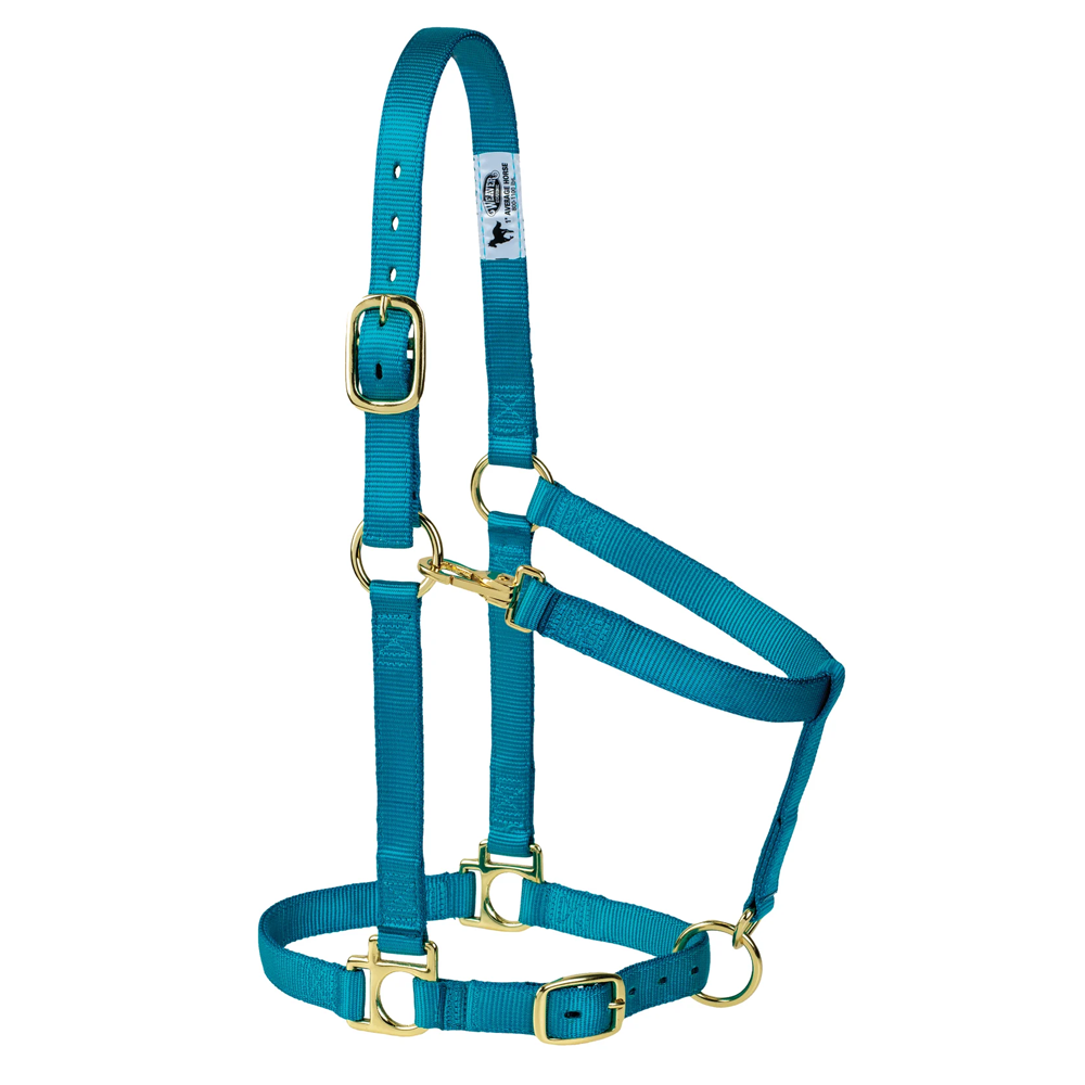 35005-50-288 Weaver Leather High Density Adjustable Chin and Throat Snap Halter - Ocean Breeze