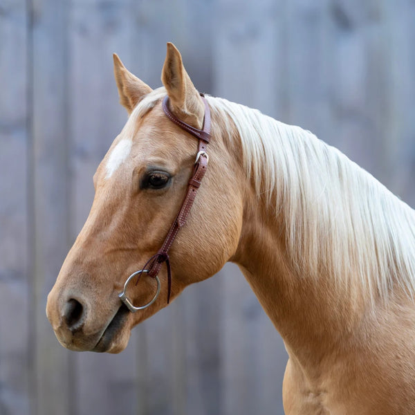 56002 Shires Velociti One Ear Headstall