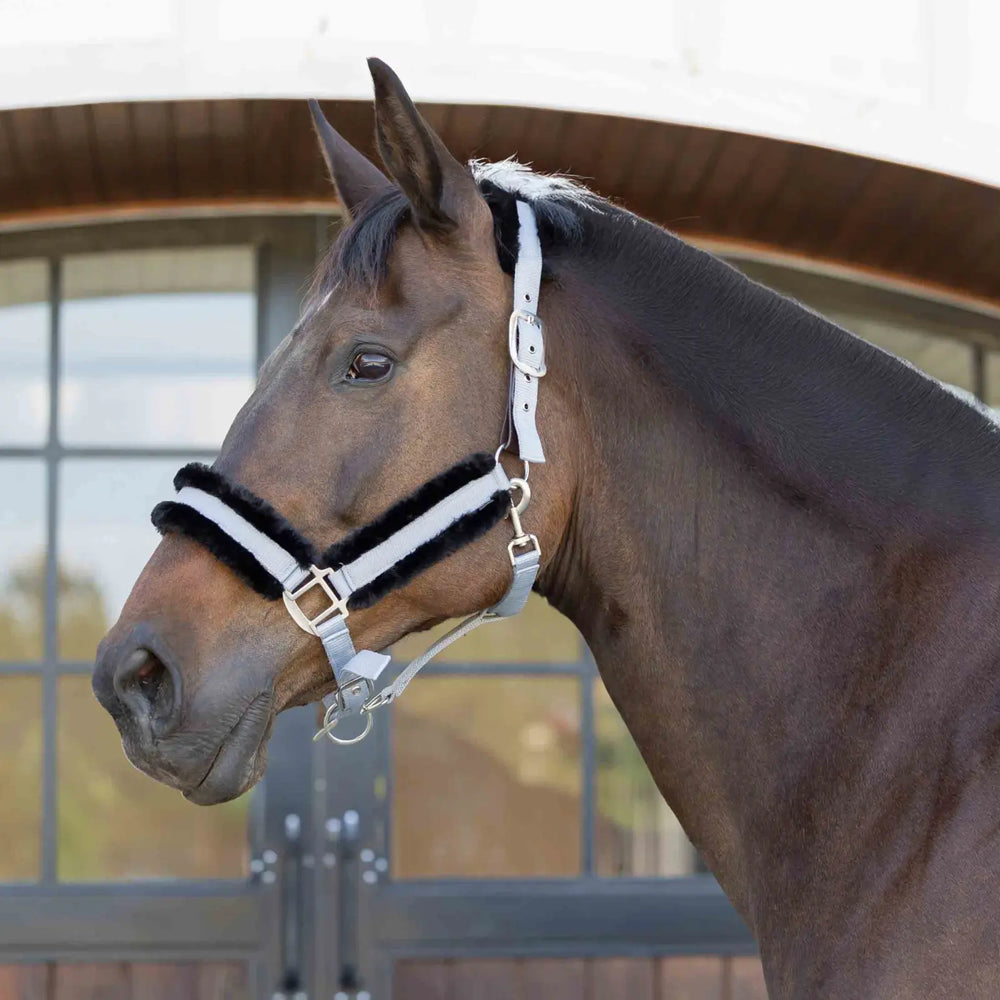 E22007-SGY/BL Equinavia Valkyrie Ultra Fleece Breakaway Halter - Slate Grey / Black