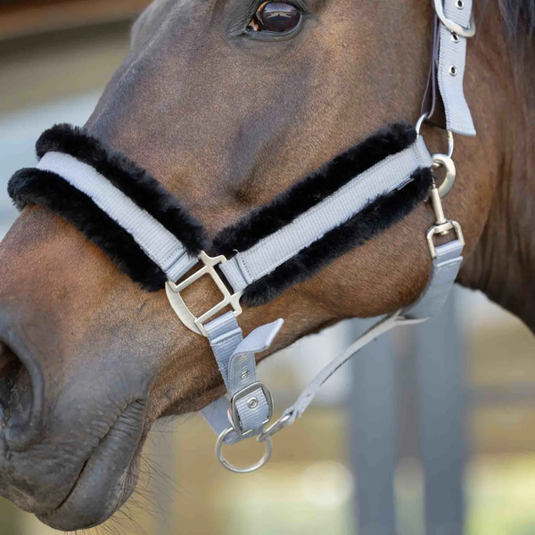 E22007-SGY/BL Equinavia Valkyrie Ultra Fleece Breakaway Halter - Slate Grey / Black
