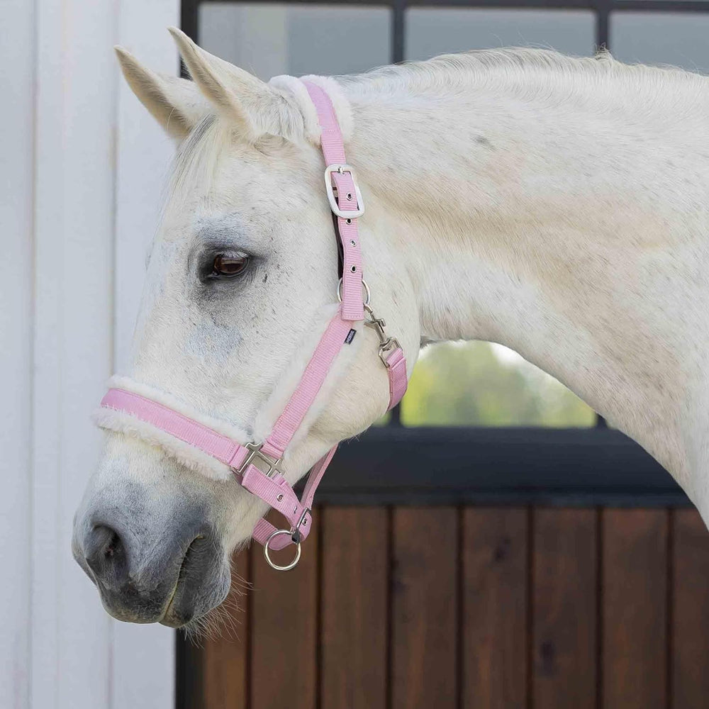 E22007-SWPI/IWH Equinavia Valkyrie Ultra Fleece Breakaway Halter - Sweet Pink / Ivory