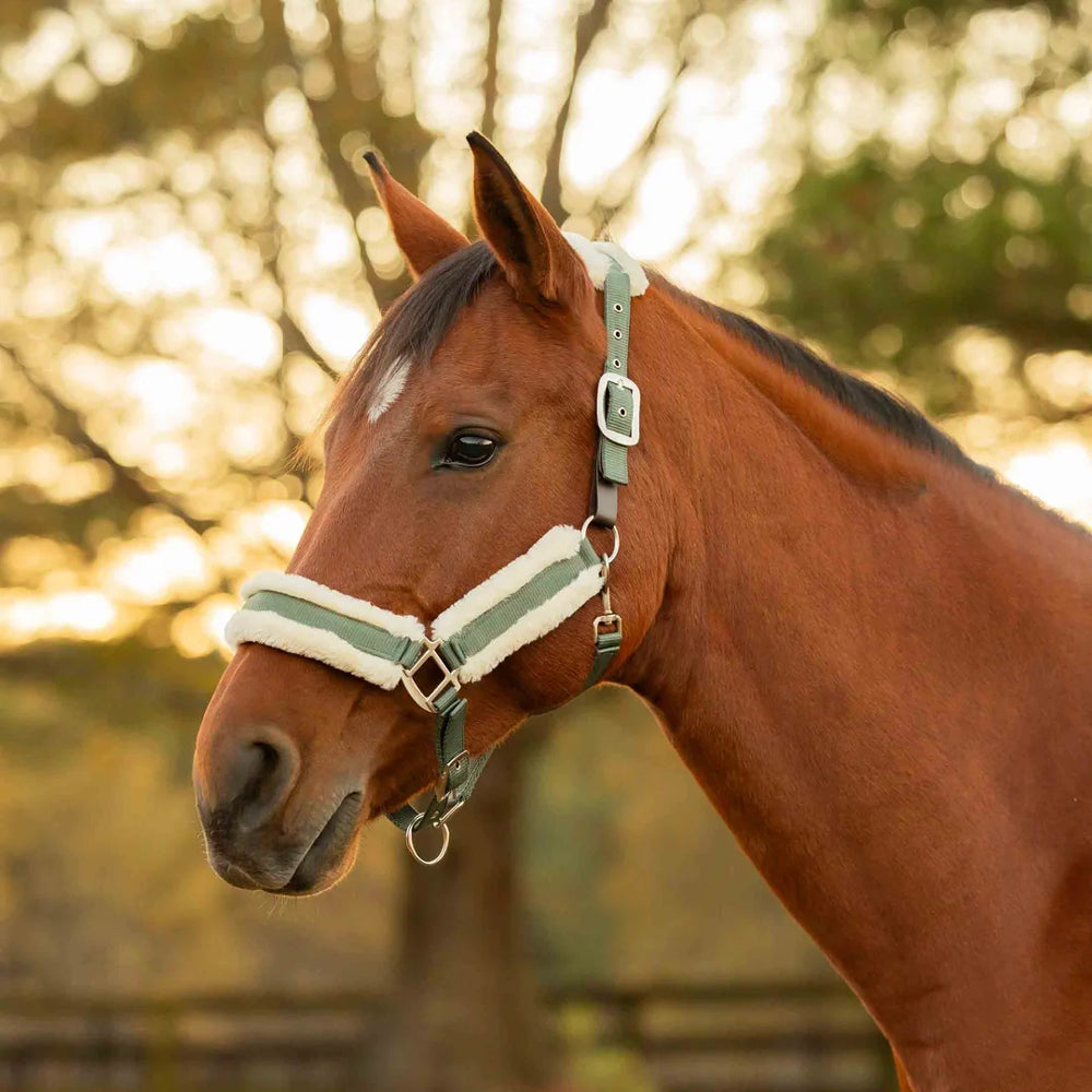 E22007-TGR/IWH Equinavia Valkyrie Ultra Fleece Breakaway Halter - Thyme / Ivory White