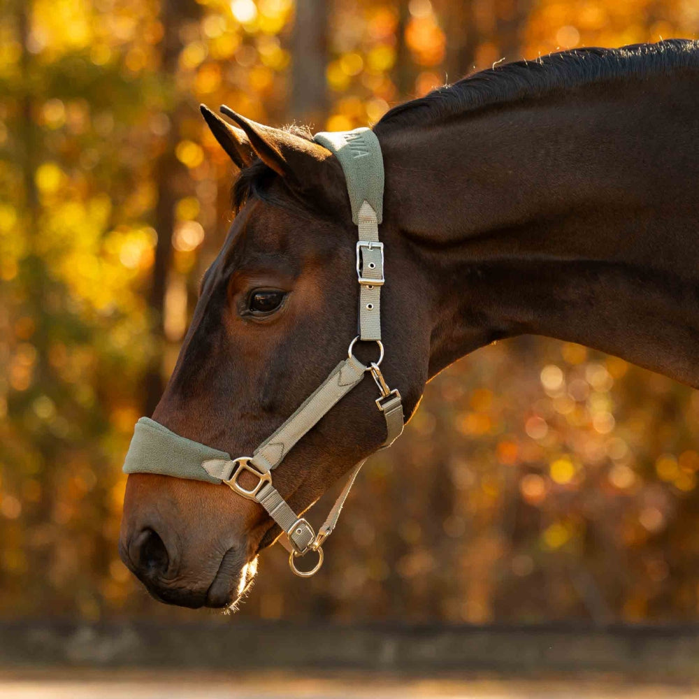 E22015-LPGR/TGR Equinavia Saga Fleece Padded Breakaway Horse Halter - Lily Pad / Thyme