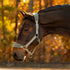E22015-LPGR/TGR Equinavia Saga Fleece Padded Breakaway Horse Halter - Lily Pad / Thyme