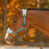 E22015-LYB/GLB Equinavia Saga Fleece Padded Breakaway Horse Halter - Lyons Blue / Glacier Blue