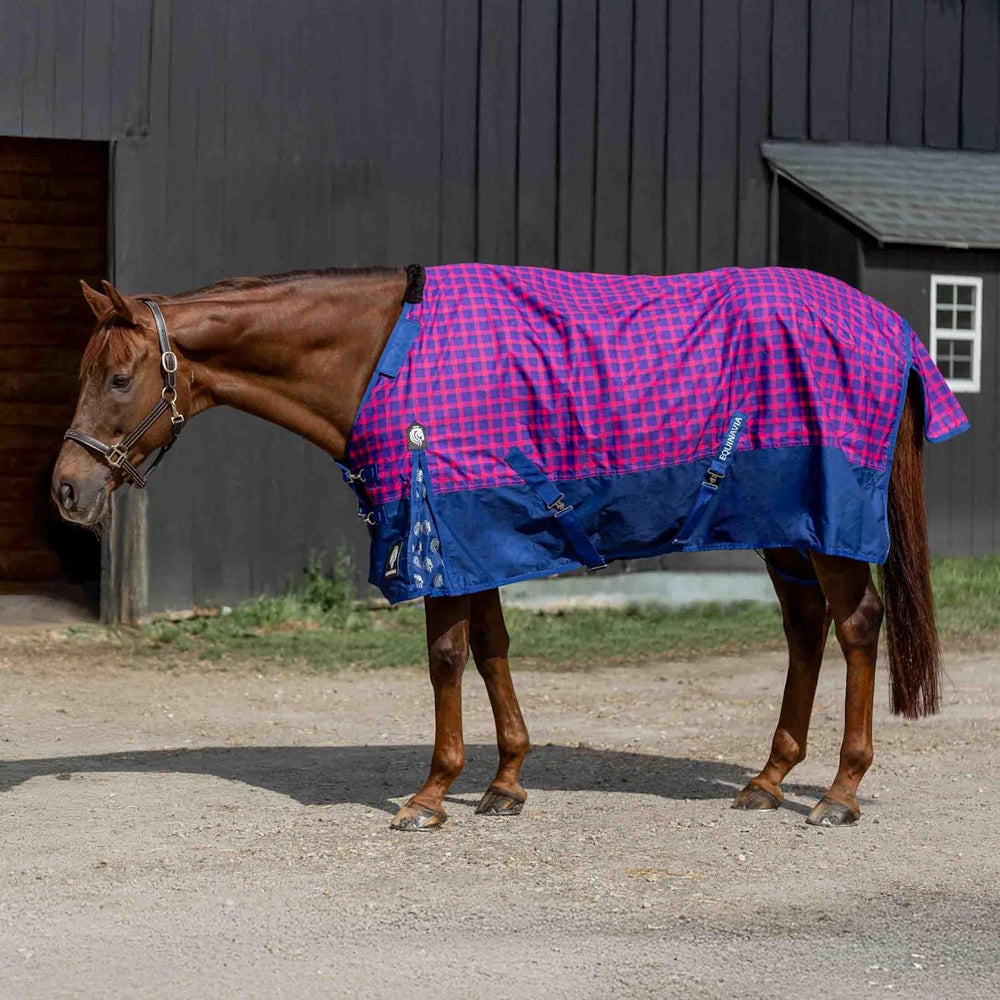 E24002-GAB/PFPI Equinavia Norse Turnout Sheet - Galaxy Blue/Pink Flambe