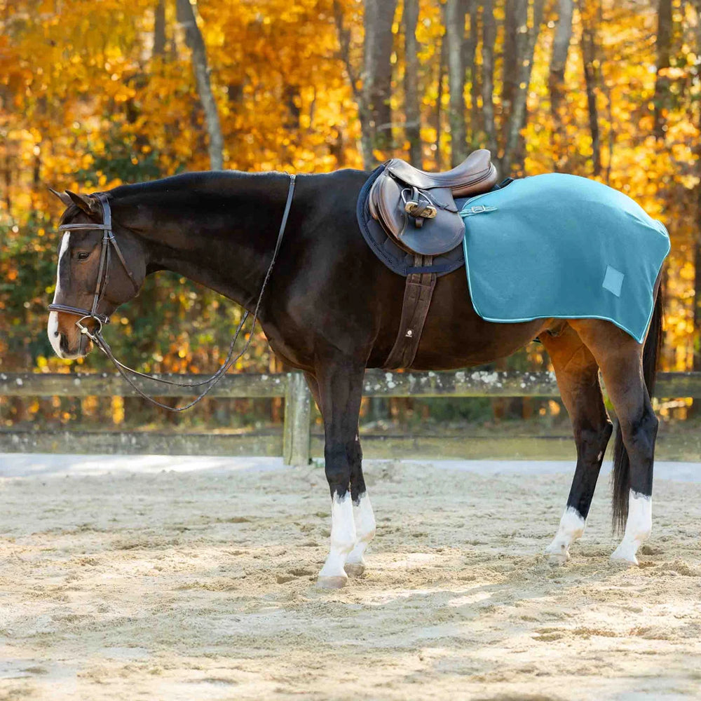 E24067-LYB Equinavia Norse Fleece Exercise Quarter Sheet - Lyons Blue