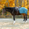 E24067-LYB Equinavia Norse Fleece Exercise Quarter Sheet - Lyons Blue
