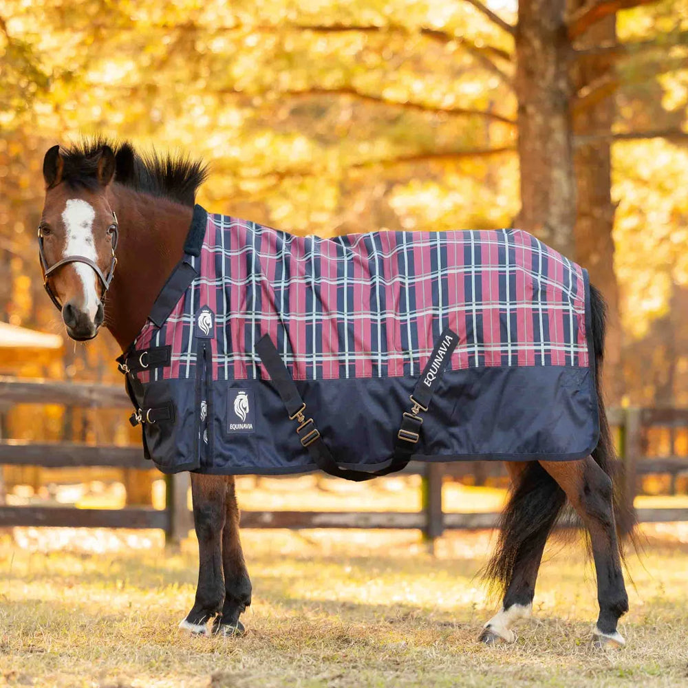 E24077-NV/BU Equinavia Norse Pony Mid Weight Turnout Blanket 200g - Navy / Burgundy