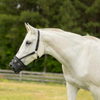 E50006 Equinavia Breakaway Comfort Grazing Muzzle - Black