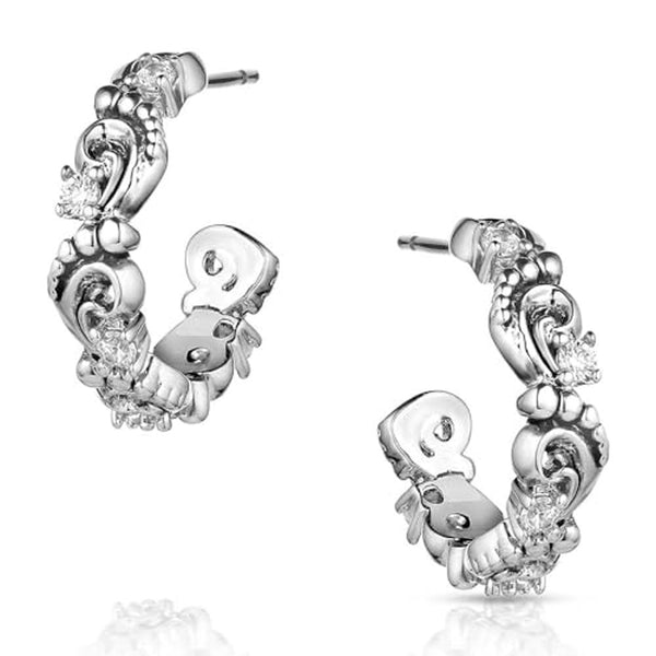 ER5862 Montana Silversmiths Windblown Elegance Crystal Earrings