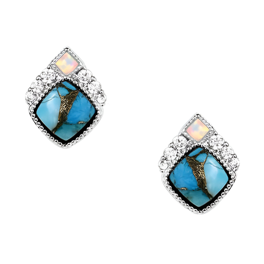 ER6313 Montana Silversmiths Crowned Glacier Earrings