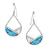 ER6314 Montana Silversmiths Canyon Drop Earrings