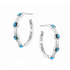 ER6546 Montana Silversmiths Gentle Rain Turquoise Hoop Earrings