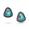 ER6610 Montana Silversmiths Dakota Skies Post Earrings