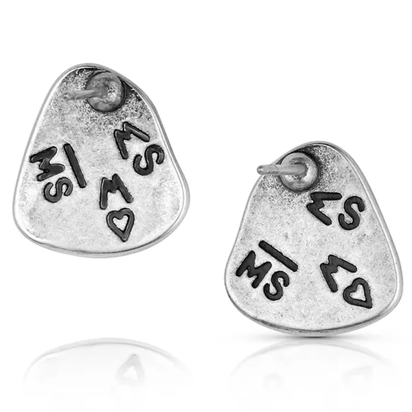 ER6610 Montana Silversmiths Dakota Skies Post Earrings