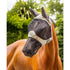 files/IT04133_1.jpg