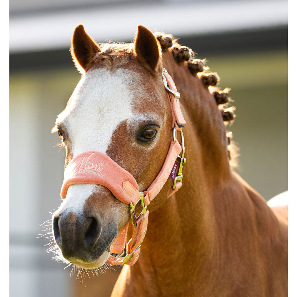 IT04192 LeMieux Mini Vogue Headcollar Halter & Leadrope - Apricot