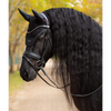 IT07764 LeMieux Essence Fly Veil Hood Bonnet - Black
