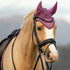 IT08264 LeMieux Classic Fly Hood - Mallow