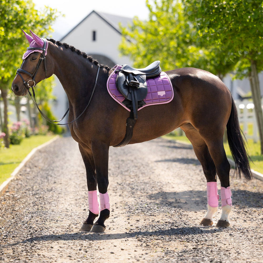 IT08284 LeMieux Loire Classic Satin Close Contact Square English Saddle Pad - Mallow