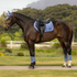 IT08285 LeMieux Loire Classic Satin Close Contact Square English Saddle Pad - Powder Blue