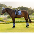 IT08288 LeMieux Loire Classic Satin Dressage Square Saddle Pad - Powder Blue