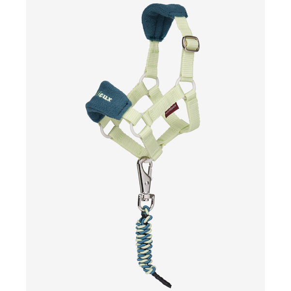 IT08458 LeMieux Toy Pony Vogue Headcollar Halter - Macaron
