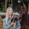 IT08844 LeMieux Harlow Tiny Beanie Pony - Rolo