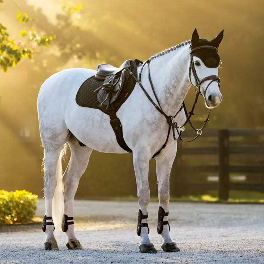 IT08948 LeMieux Brillance Classic Close Contact Square Saddle Pad - Black Large