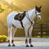 IT08948 LeMieux Brilliance Classic Close Contact Square Saddle Pad - Black Large