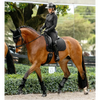 IT08952 LeMieux Brilliance Classic Dressage Square Saddle Pad - Black Large