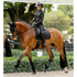 IT08952 LeMieux Brilliance Classic Dressage Square Saddle Pad - Black Large