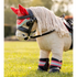 IT09062 LeMieux Harlow Toy Pony Fly Hood - Coral Crush