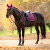 IT09164 LeMieux Suede Square Dressage Pad - Blackberry