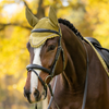 IT09172 LeMieux Classic Fly Hood Veil Bonnet Lycra Ears - Gooseberry