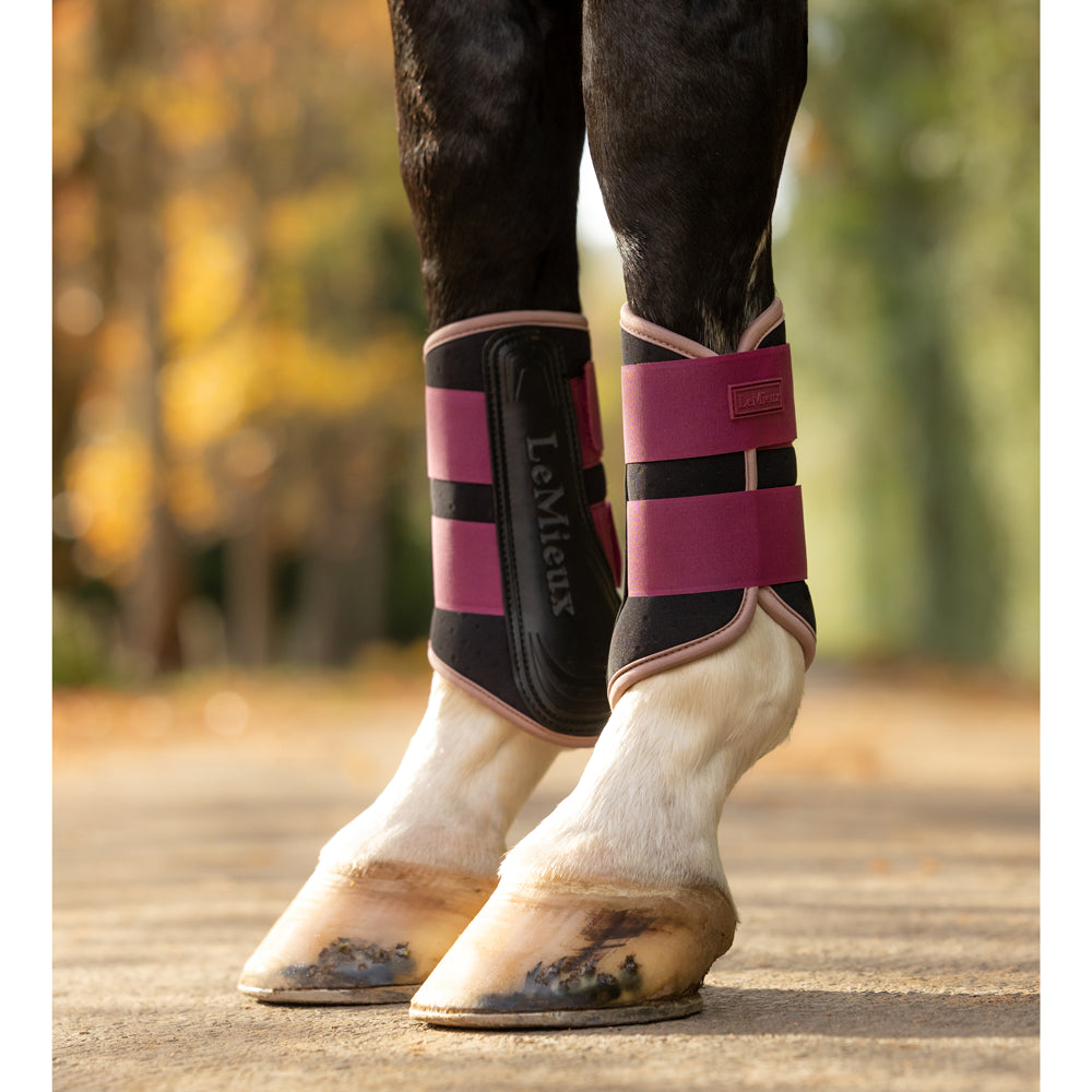 IT09193 LeMieux Air-Tek Grafter Brushing Boots - Blackberry