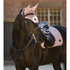 IT09245 LeMieux Heritage Fly Hood - Wild Rose
