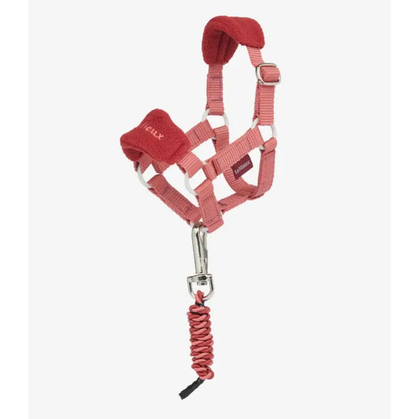 IT09319 LeMieux Toy Pony Vogue Headcollar Halter - Spiced Earth