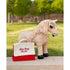 files/IT09322_3.jpg