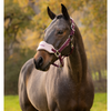 IT09412 LeMieux Vogue Headcollar Halter & Lead Rope Set - Blackberry
