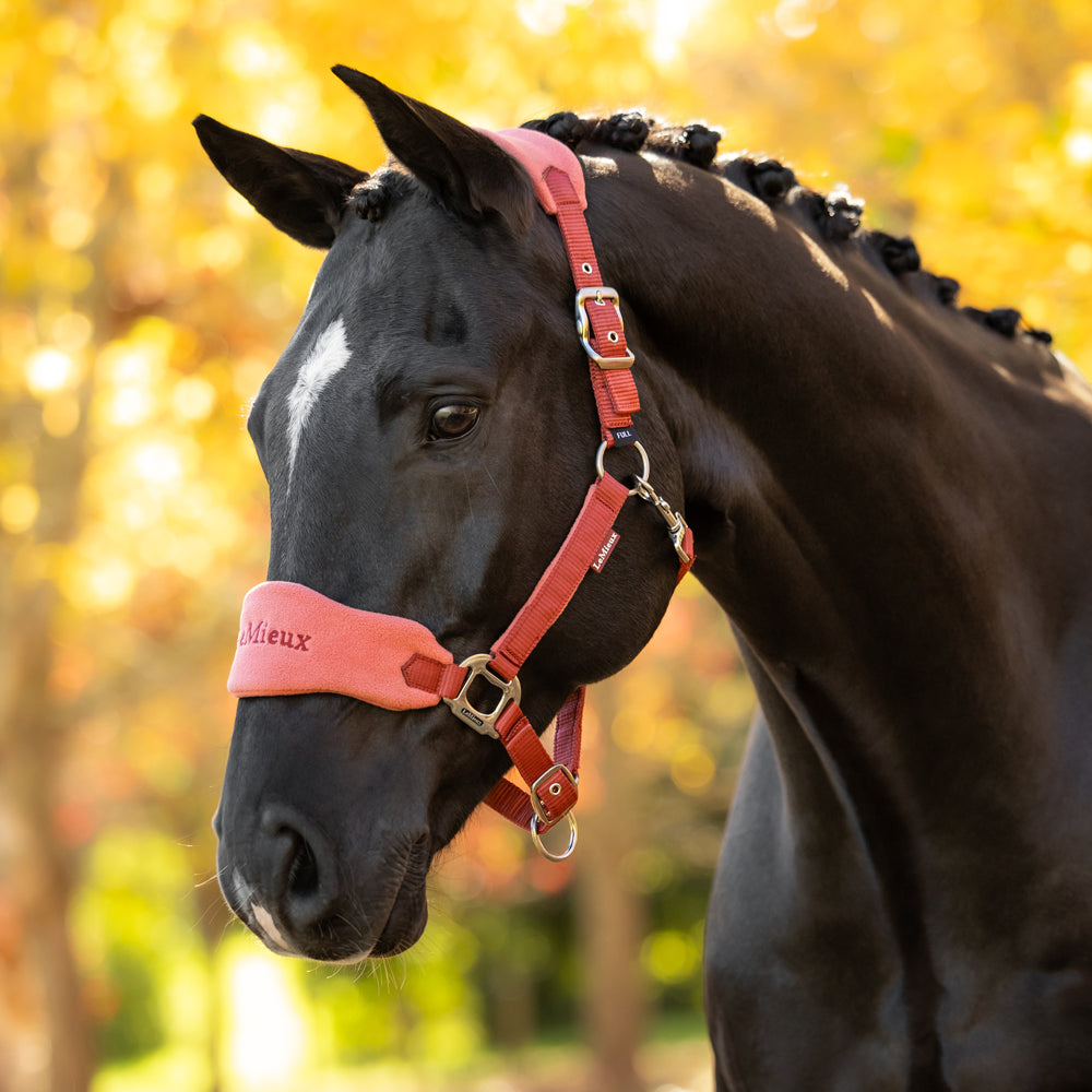 IT09413 LeMieux Vogue Headcollar Halter & Lead Rope Set - Russet