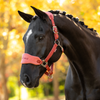 IT09413 LeMieux Vogue Headcollar Halter & Lead Rope Set - Russet